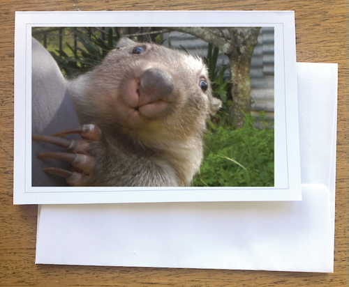 Olive wombat Blank photo card with envelope 210 gms gloss card