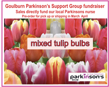 Load image into Gallery viewer, 15 mixed tulip bulbs PICK UP IN GOULBURN NSW    PRE ORDER $25 due march-April