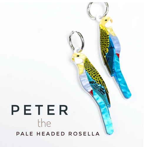 Rosella. Peter the Pale headed Rosella NEW   - HOOPS,  Lunar Deesigns