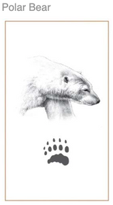 Polar Bear  Silver Footprint Pendant / Charm,  CUSTOM ORDER  ABOUT  2 WEEKS, Bushprints Jewllery