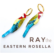 Load image into Gallery viewer, Rosella. Its Ray the Eastern  Rosella (Marble Acrylic)  - HOOPS,  Lunar Deesigns