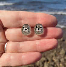 Load image into Gallery viewer, Seal studs  Made in Australia from recycled Acrylic, Smyle Designs