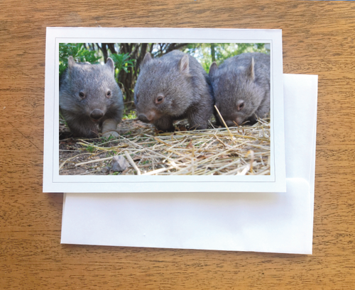 1. Sarah, June and Tankie Wombat Blank photo Card with envelope 210 gms Gloss card