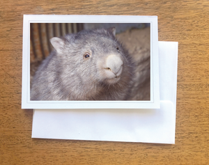 1. Polly  Wombat Blank photo Card with envelope 210 gms Gloss card