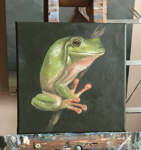 Green tree frog  19cm x 19 cm  Original Oil by Kathie Bateman Includes Aust shipping