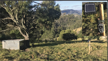 Load image into Gallery viewer, Gift  towards a Solar powered Wildlife Camera Helping us monitor their release &amp; Nest box&#39;s.