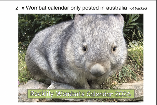 2 X 2026 ROCKLILY WOMBATS CALENDAR's ONLY   includs australian postage not tracked