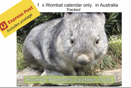 1 X 2026 ROCKLILY WOMBATS CALENDAR's ONLY  EXPRESS POST   TRACKED  AUST