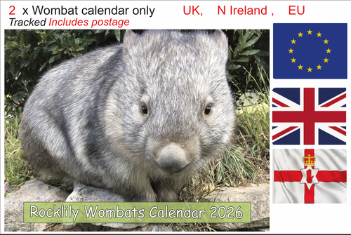 2 X 2026 ROCKLILY WOMBATS CALENDAR ONLY   TRACKED  UK, EU N Ireland