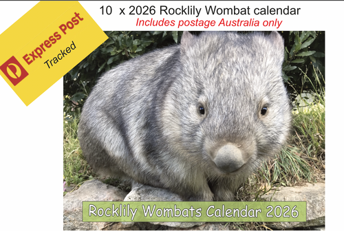 10 Deal x 2026 ROCKLILY WOMBATS CALENDAR's inc express post