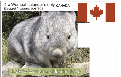 2 X 2026 ROCKLILY WOMBATS CALENDAR ONLY   TRACKED  Canada