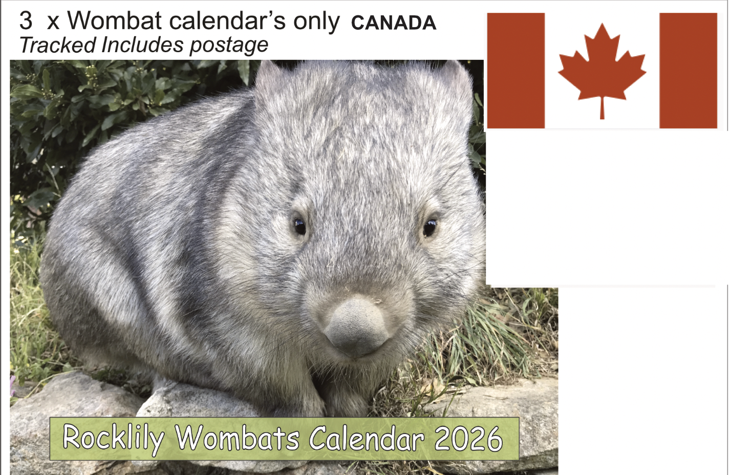 3 X 2026 ROCKLILY WOMBATS CALENDAR ONLY   TRACKED  CANADA
