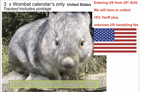 3 X 2026 ROCKLILY WOMBATS CALENDAR ONLY   TRACKED  United States