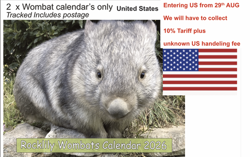 2 X 2026 ROCKLILY WOMBATS CALENDAR ONLY   TRACKED  United States