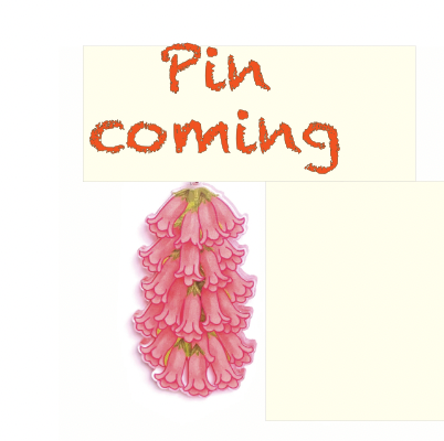 Common Heath PIN  made  in Australia from recycled Acrylic,  by Smyle Designs COMING late october