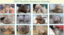 Load image into Gallery viewer, 1 X 2027 Rocklily wombats  Calendars ONLY To EU includes TRACKED postage, compostable shipping bag