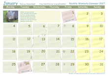 Load image into Gallery viewer, 1 X 2027 Rocklily wombats  Calendars ONLY To EU includes TRACKED postage, compostable shipping bag