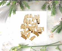Load image into Gallery viewer, Penquin cherry wood  19 mm studs   By Dianna