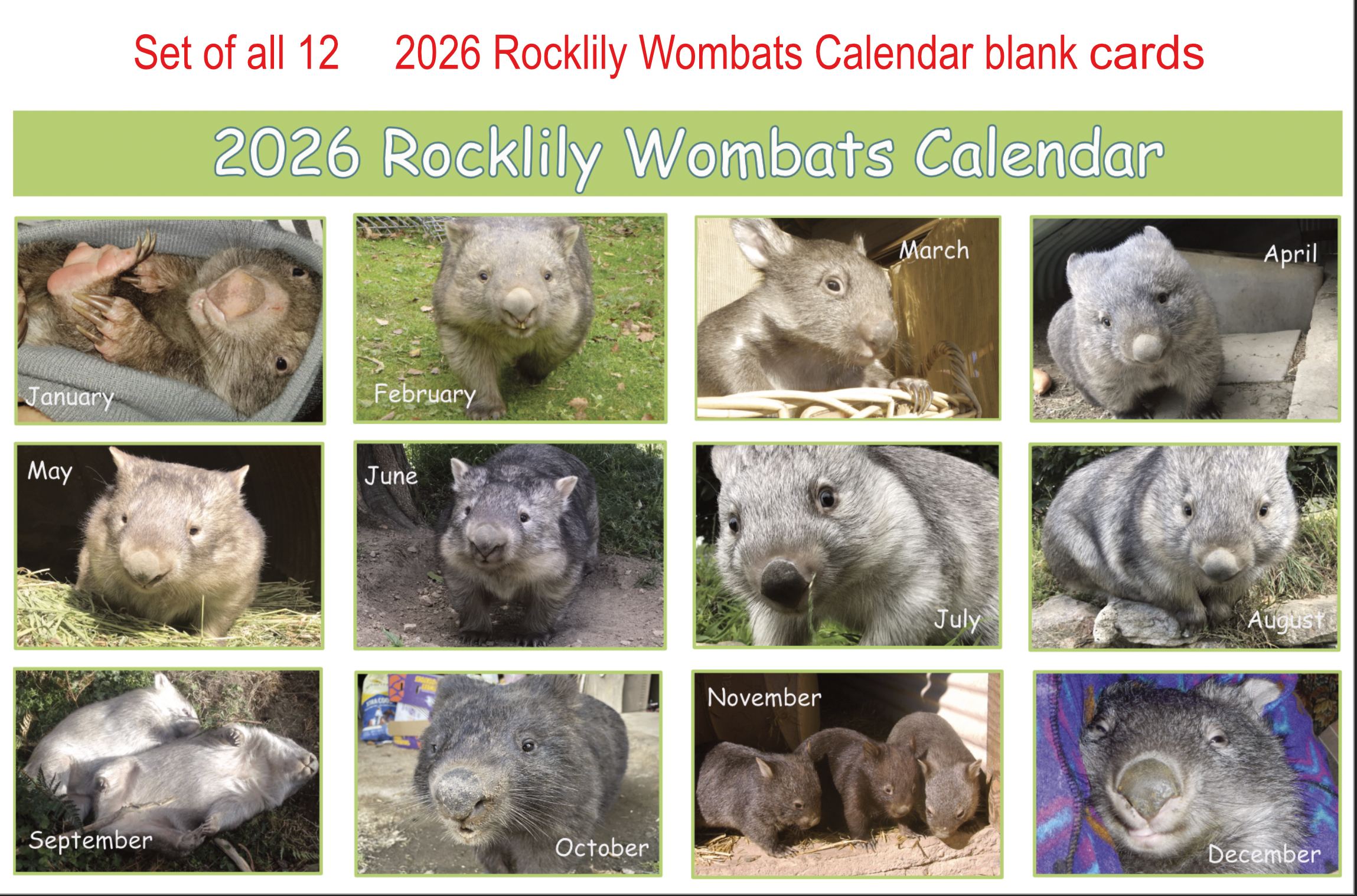 1. 2026 Calendar set of 12  Blank photo card with envelope  FREE standard post in Australia