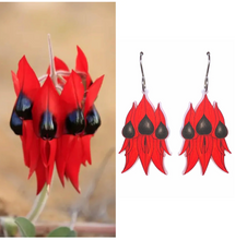 Load image into Gallery viewer, Sturt&#39;s Desert Pea  earrings made  in Australia from recycled Acrylic,  by Smyle Designs COMING SOON