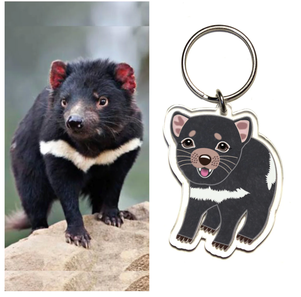 Tasmanian Key ring Made in Australia from recycled acrylic, Smyle Desi ...