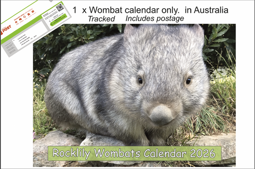 1 X 2026 ROCKLILY WOMBATS CALENDAR ONLY    TRACKED  AUST