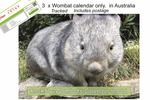 3 X 2026 ROCKLILY WOMBATS CALENDAR's ONLY    TRACKED  AUST