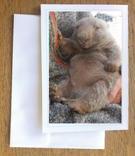 Load image into Gallery viewer, Vivian  wombat Blank photo card with envelope 210 gms gloss card