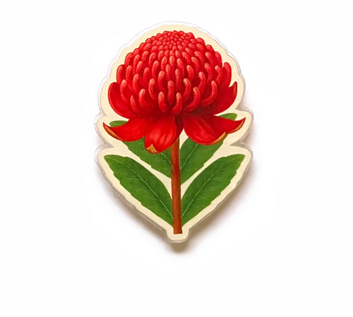 Waratah PIN  made  in Australia from recycled Acrylic,  by Smyle Designs