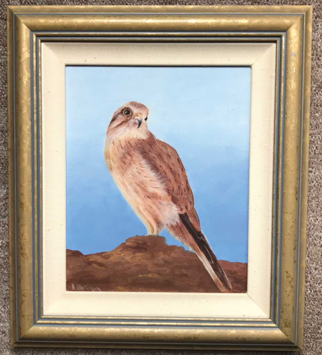 Whistling Kite 31 x 35.5cm Original  Oil by Kathie Bateman Includes Aust shipping