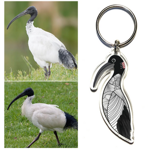 Bin Chicken , White Ibis  Keyring Made in Australia from recycled acrylic, Smyle Designs