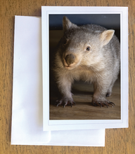 Load image into Gallery viewer, Wiggles Blank photo card with envelope 210 gms gloss card