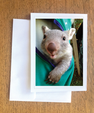 Load image into Gallery viewer, Wiggles in his bag wombat Blank photo card with envelope 210 gms gloss card