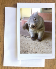 Load image into Gallery viewer, Wiggles cutie Blank photo card with envelope 210 gms gloss card