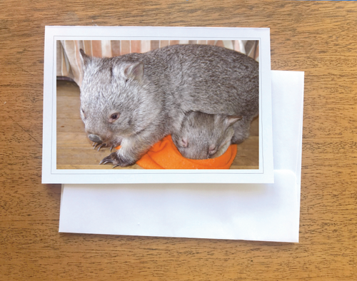 1. Willow and Gidget Wombat Blank photo Card with envelope 210 gms Gloss card