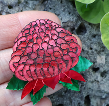 Load image into Gallery viewer, Waratah  Brooch  By Oh Pluto made in Australia