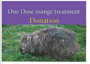 GIFT towards Treatment a mangy wombat kit  ONE DOSE TREATMENT  We can email a printable PDF you can give as a gift, or  post with card.