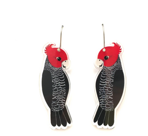 Gang Gang  Earrings by  in Australia from recycled Acrylic, Smyle Designs