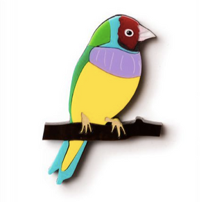 Gouldian Finch Brooch By Martini Slippers