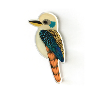Kookaburra  Brooch  by Smyle Made in Australia from recycled acrylic