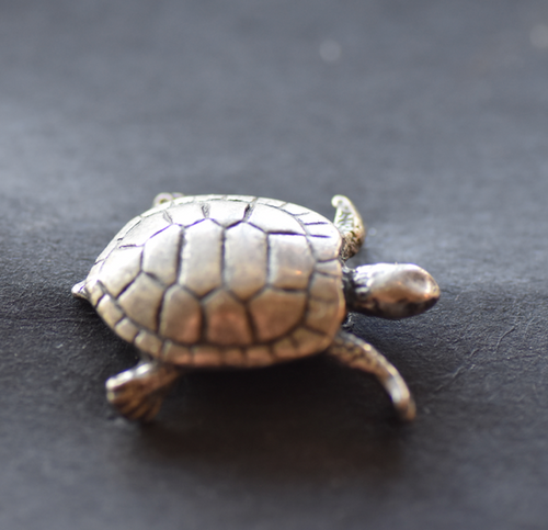 Turtle Green Sea Pewter Brooch Medium Antique Silver Plated -Peek-a-Boo