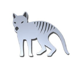 Tasmanian Tiger Pin â€“ Allegria Designs