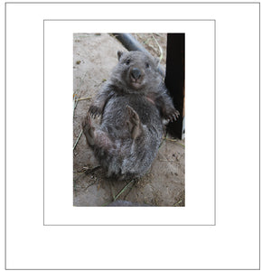 George rolls around. No G2