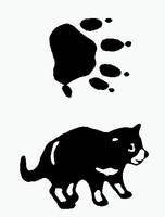 Tasmanian Devil double-sided self-inking stamp