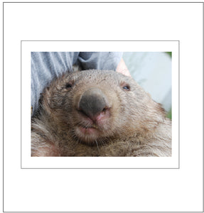 Frankie wombat a face to love. No F1