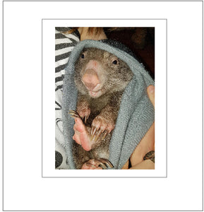 George in his bag No G1