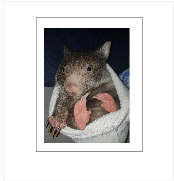George wombat  No G3
