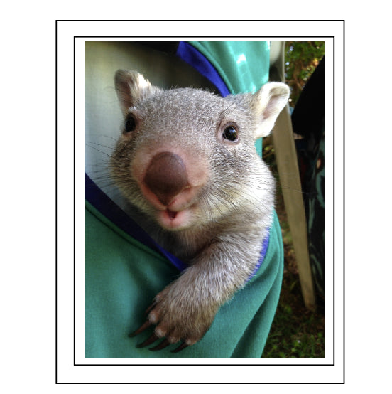 Wiggles the wombat. No W3