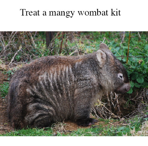 Treat a mangy wombat  kit
