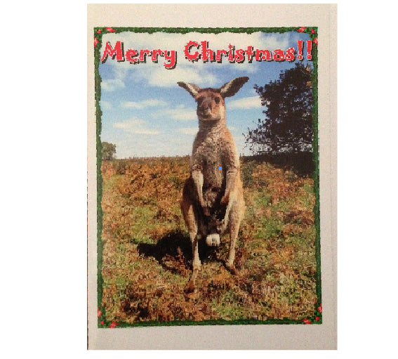 Merry Bloody Xmas Says Mr kangaroo. No M1